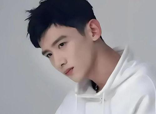 白敬亭娱乐圈爆料事件,真相与争议  第3张